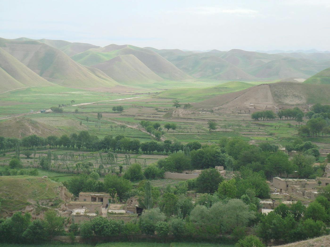 Afghan-Balochistan Drylands, Mountain Meadows & Conifer Forests (PA30)